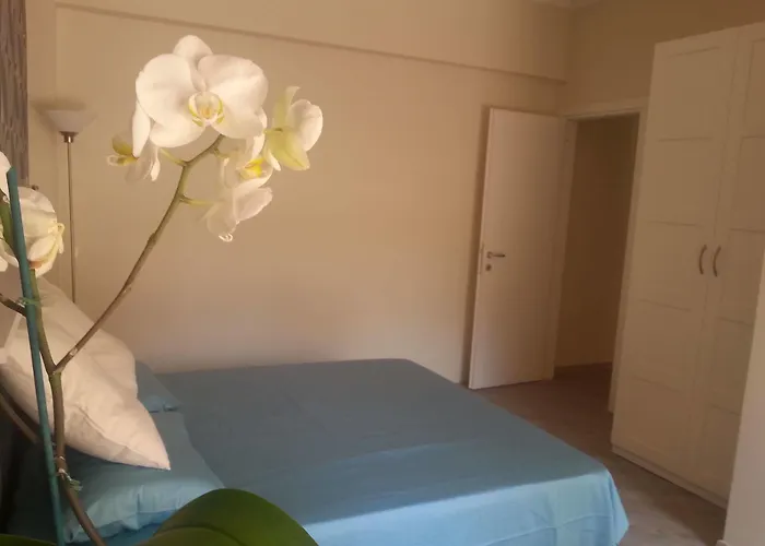Bed & Breakfast Domus Pio Xi° 2*